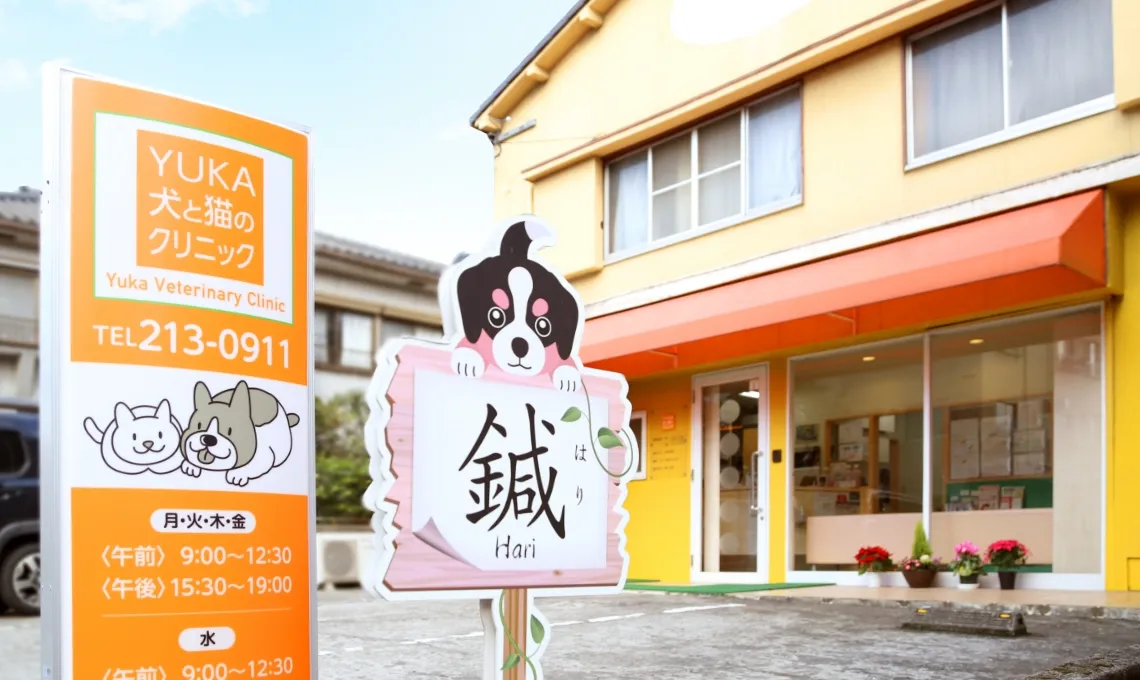 Yuka犬と猫のクリニック