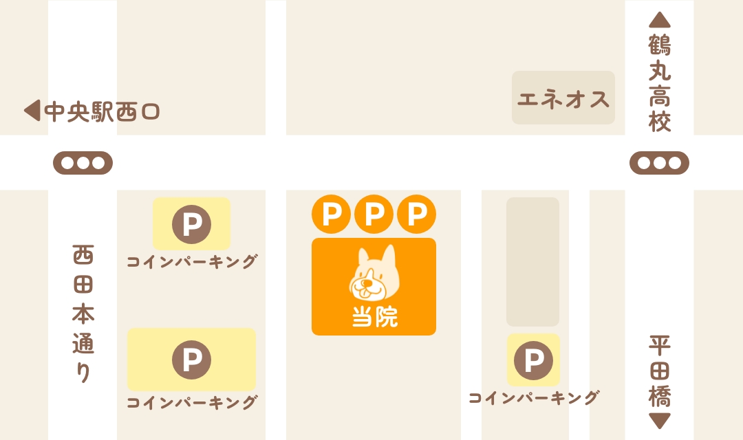 駐車場は、当院正面に3台ございます。当院駐車場が満車の場合は、近くのコインパーキングをご利用いただき、受付にお申しでください。