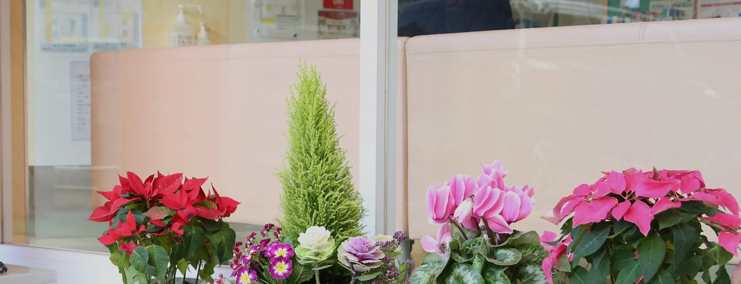 プライバシーポリシー