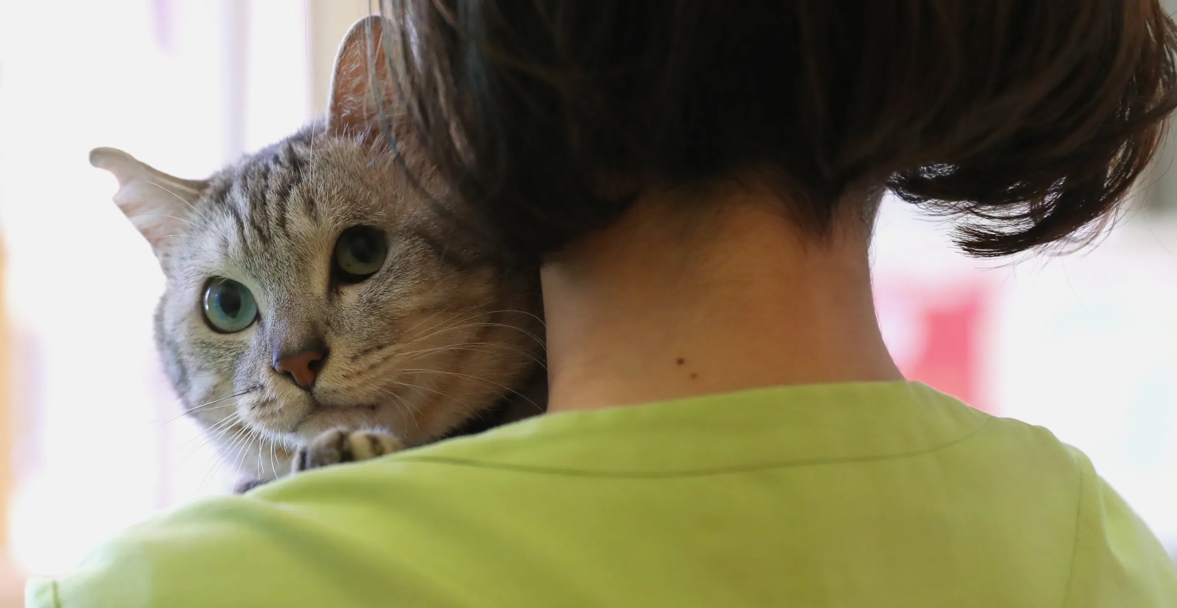 いつも一緒にいたいから