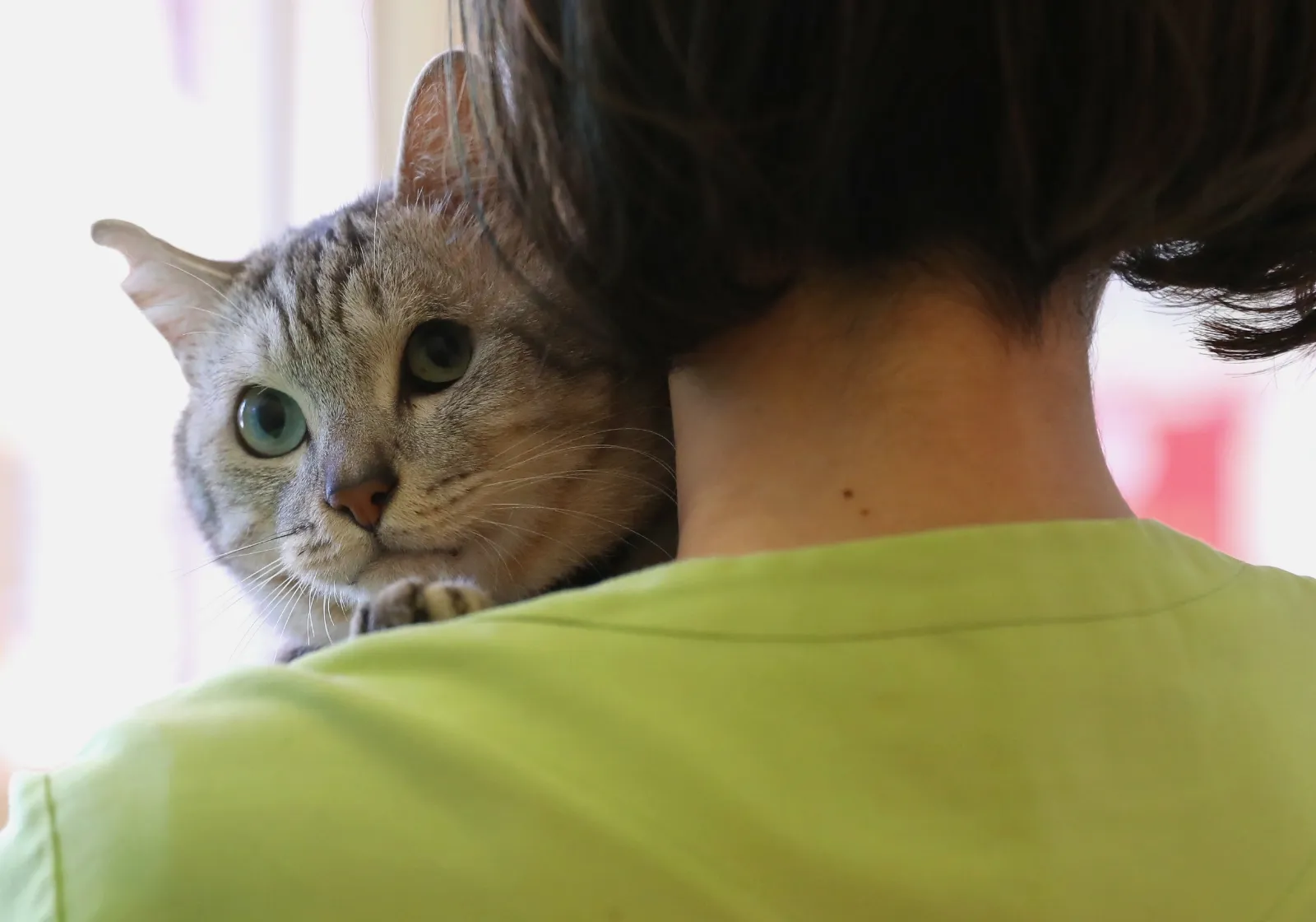 いつも一緒にいたいから