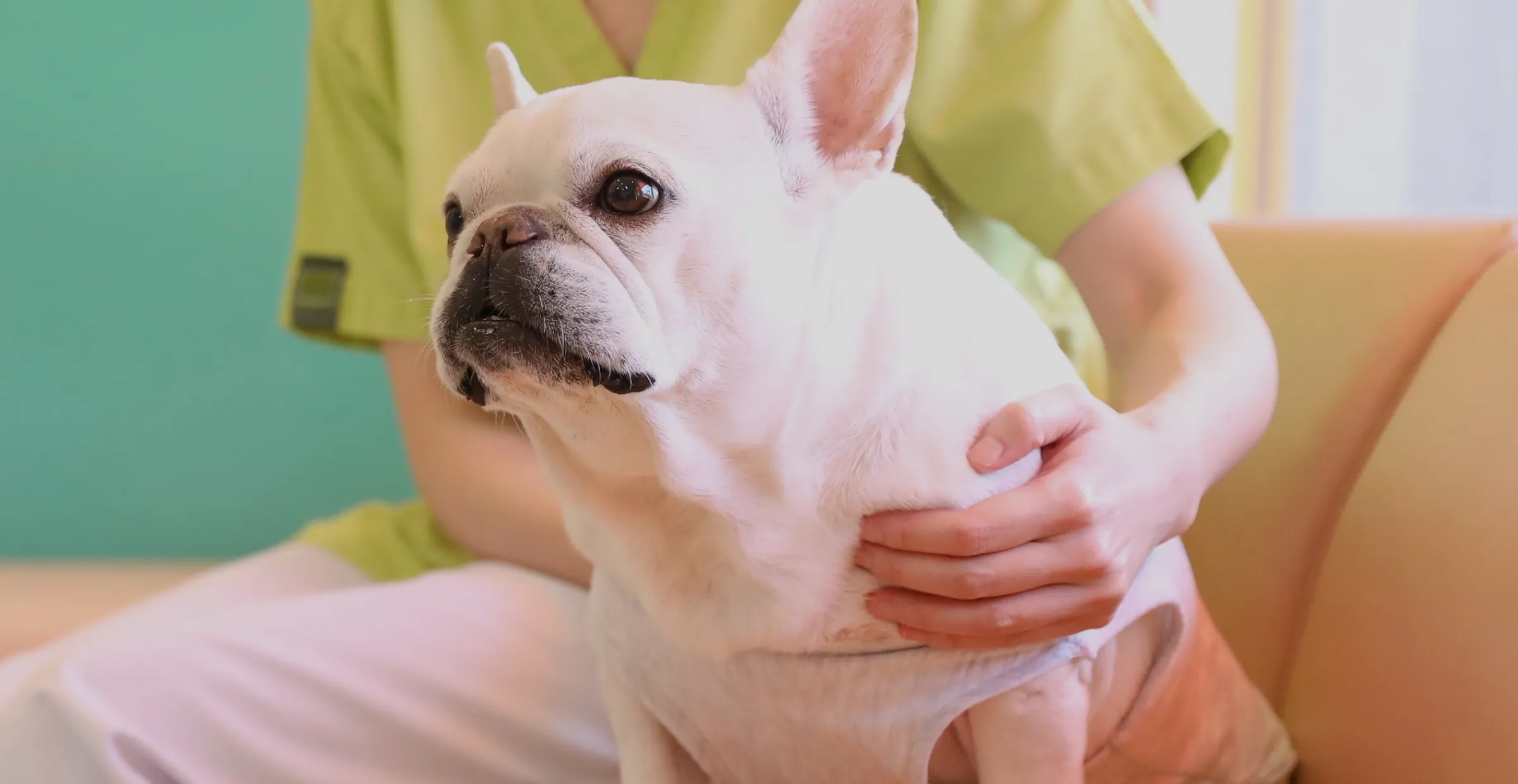 いつも一緒にいたいから