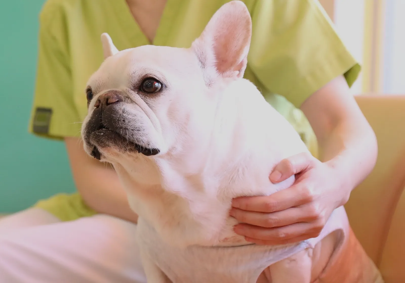 いつも一緒にいたいから