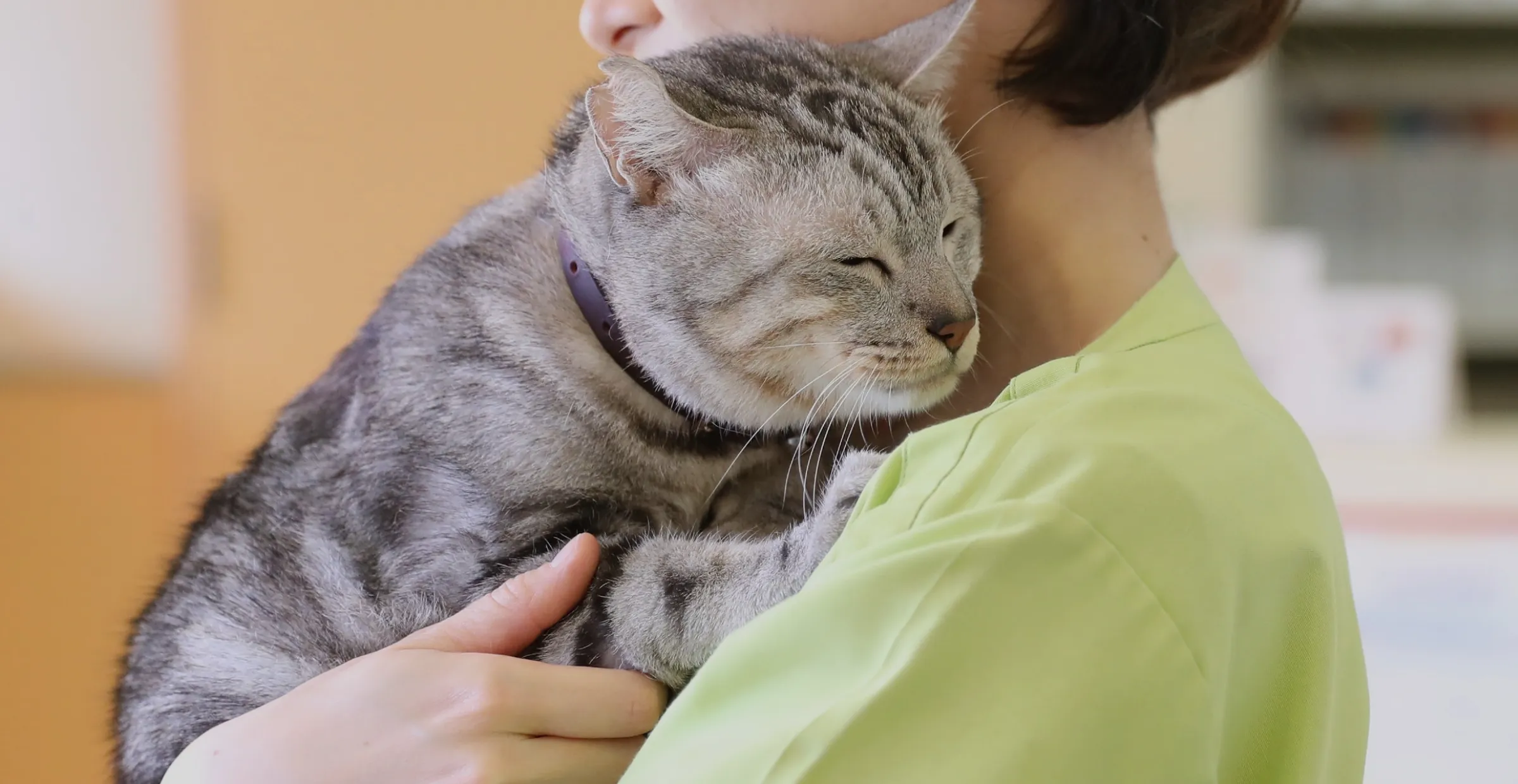 いつも一緒にいたいから