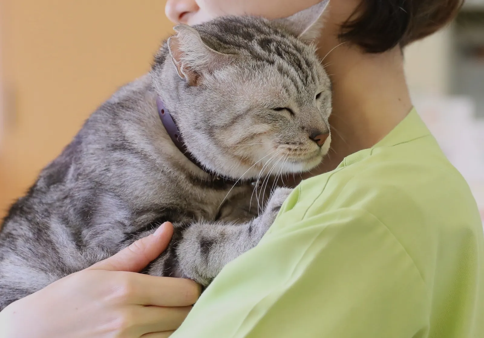 いつも一緒にいたいから