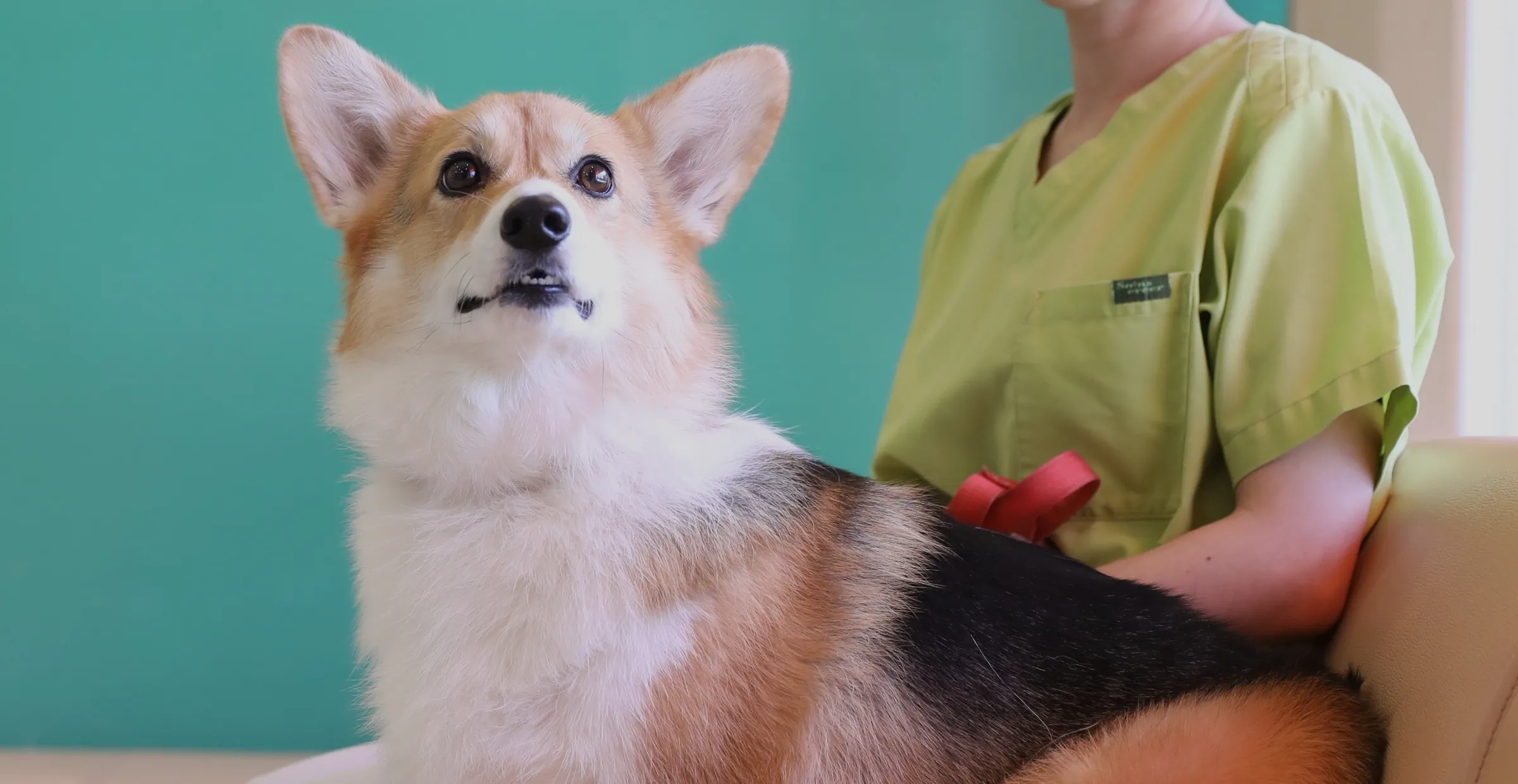 いつも一緒にいたいから