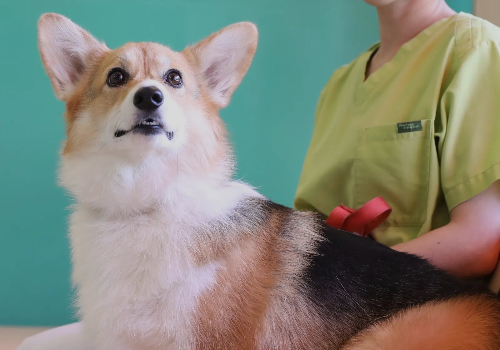 いつも一緒にいたいから