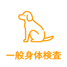 一般身体検査