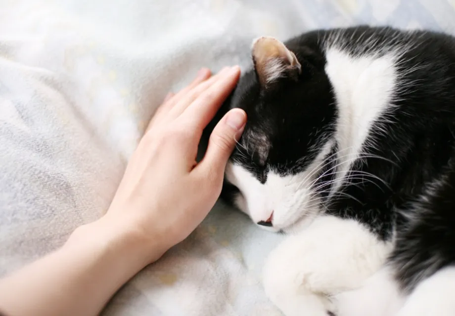 そのほか、日常のお困りごとについてのご相談